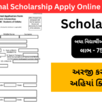 બધા વિધ્યાર્થીને આપી રહી છે,અરજી કરો જલ્દી : National Scholarship Apply Online 2024..